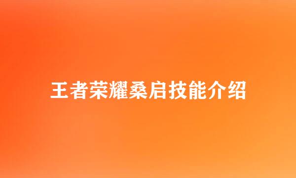 王者荣耀桑启技能介绍