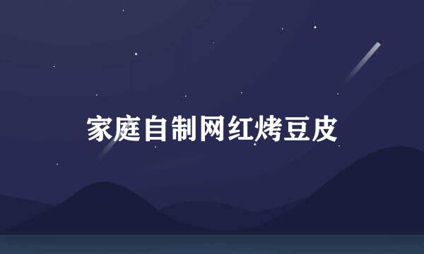 家庭自制网红烤豆皮