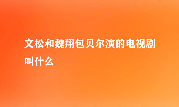 文松和魏翔包贝尔演的电视剧叫什么