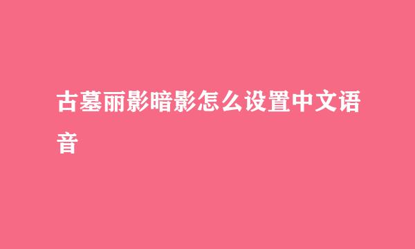古墓丽影暗影怎么设置中文语音