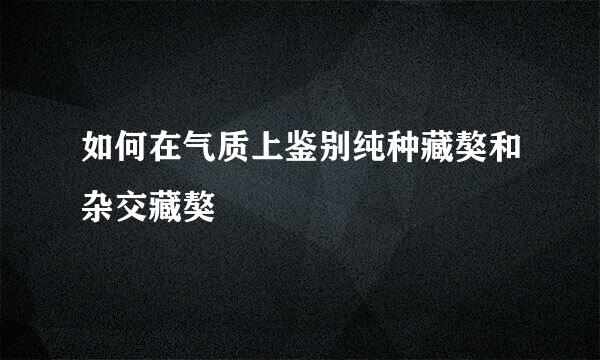 如何在气质上鉴别纯种藏獒和杂交藏獒