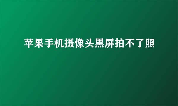 苹果手机摄像头黑屏拍不了照
