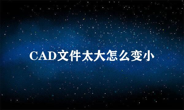 CAD文件太大怎么变小