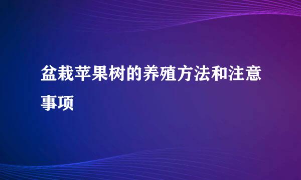 盆栽苹果树的养殖方法和注意事项
