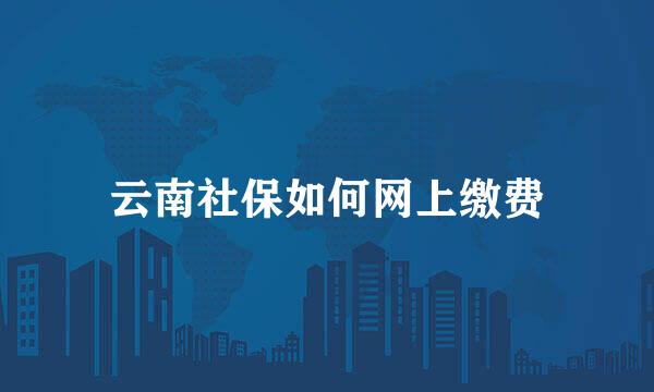 云南社保如何网上缴费