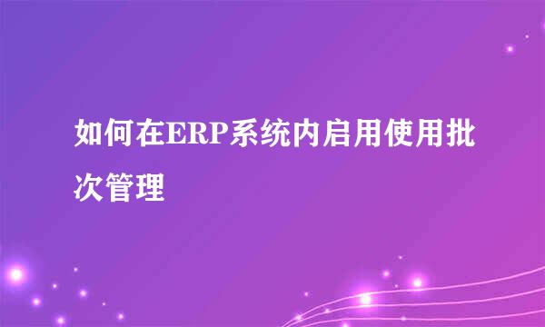 如何在ERP系统内启用使用批次管理