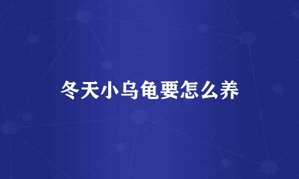 冬天小乌龟要怎么养