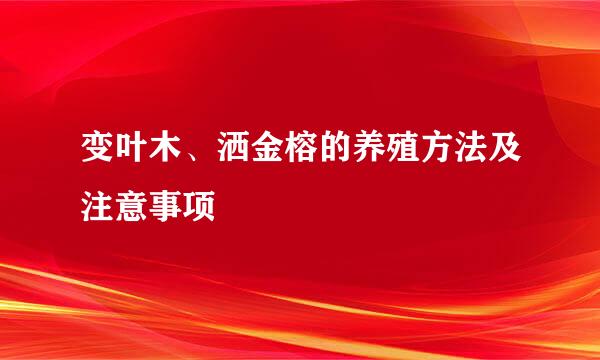 变叶木、洒金榕的养殖方法及注意事项