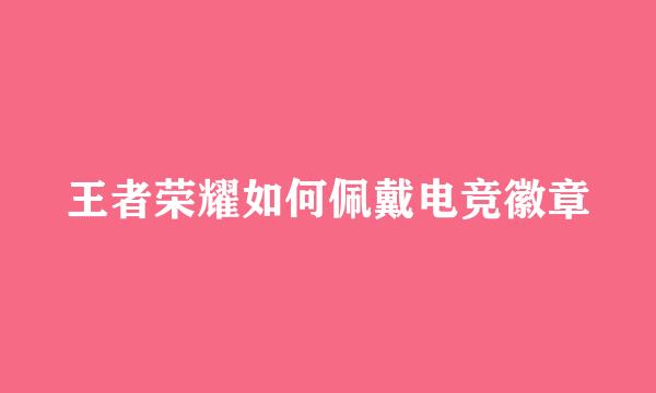 王者荣耀如何佩戴电竞徽章