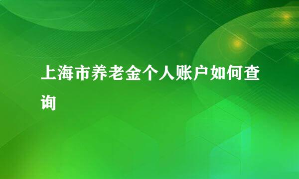 上海市养老金个人账户如何查询