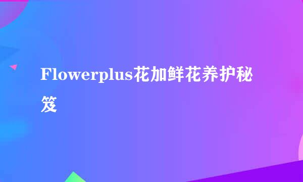 Flowerplus花加鲜花养护秘笈