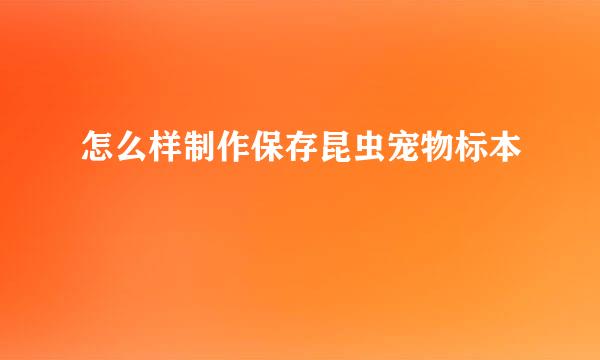 怎么样制作保存昆虫宠物标本
