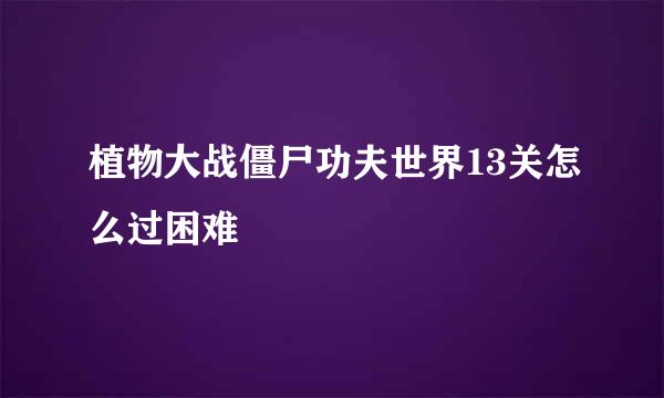 植物大战僵尸功夫世界13关怎么过困难