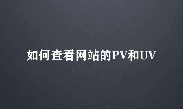 如何查看网站的PV和UV