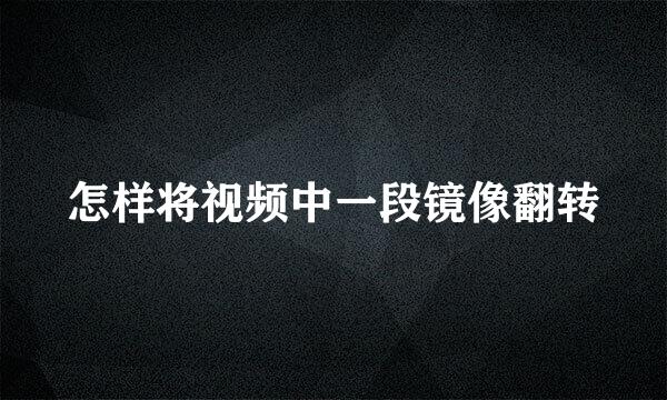 怎样将视频中一段镜像翻转