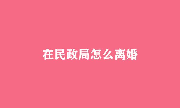 在民政局怎么离婚