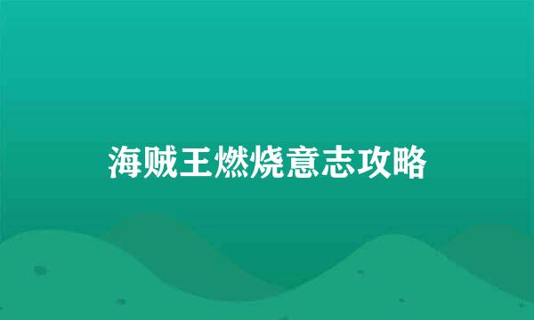 海贼王燃烧意志攻略