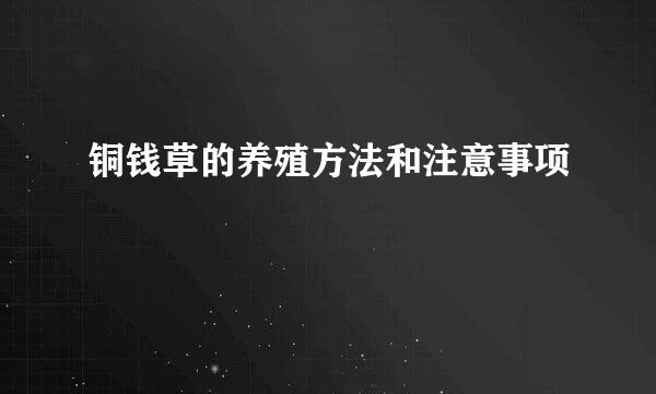 铜钱草的养殖方法和注意事项