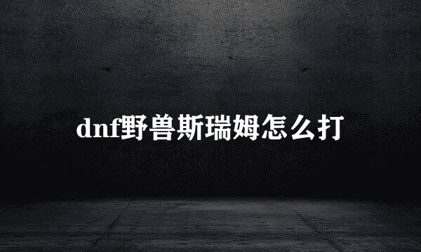 dnf野兽斯瑞姆怎么打
