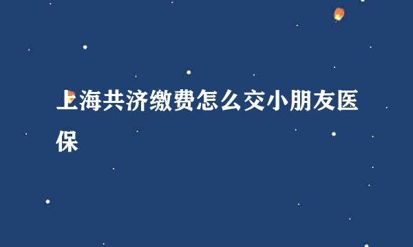 上海共济缴费怎么交小朋友医保