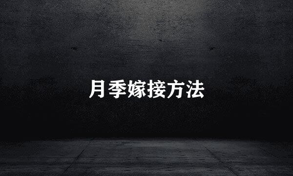 月季嫁接方法