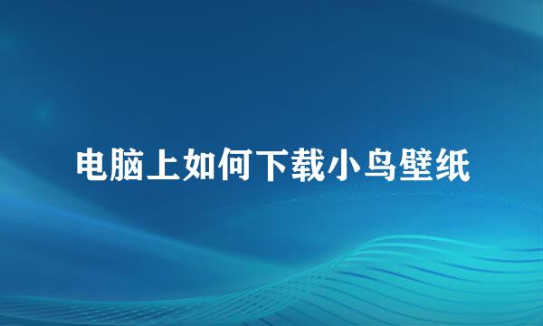 电脑上如何下载小鸟壁纸