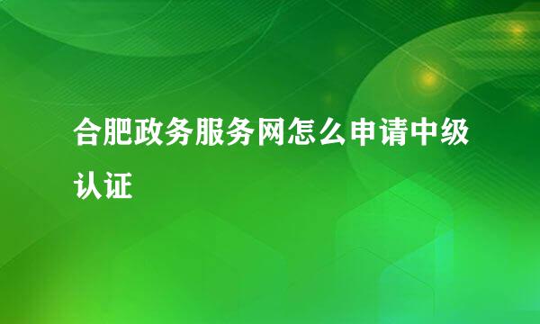 合肥政务服务网怎么申请中级认证
