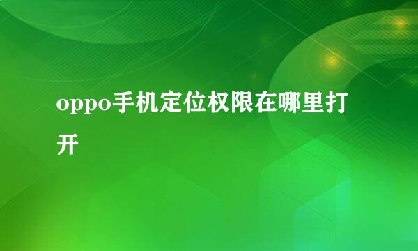 oppo手机定位权限在哪里打开