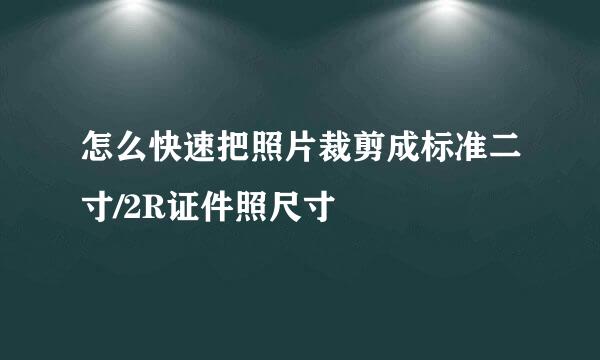 怎么快速把照片裁剪成标准二寸/2R证件照尺寸