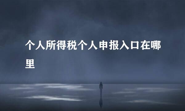 个人所得税个人申报入口在哪里