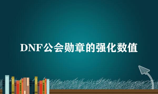 DNF公会勋章的强化数值