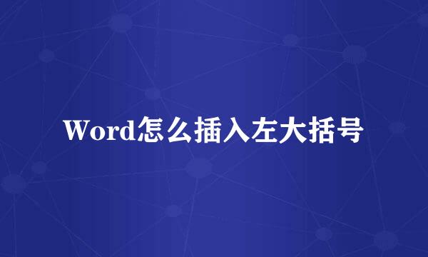 Word怎么插入左大括号