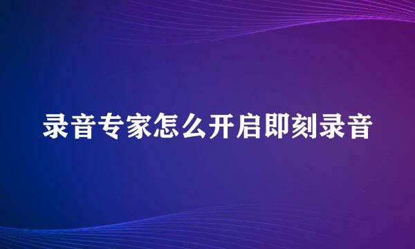 录音专家怎么开启即刻录音