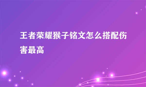 王者荣耀猴子铭文怎么搭配伤害最高