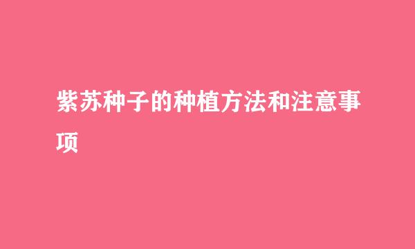 紫苏种子的种植方法和注意事项