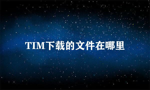 TIM下载的文件在哪里