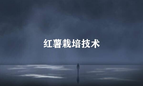 红薯栽培技术