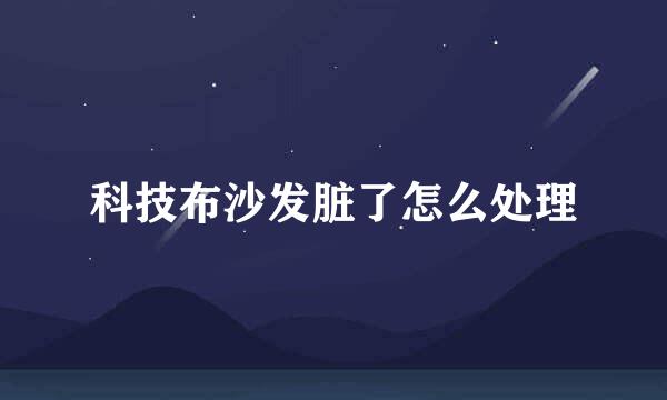 科技布沙发脏了怎么处理