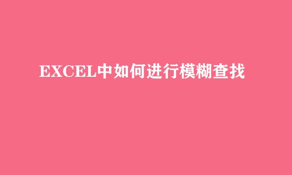 EXCEL中如何进行模糊查找