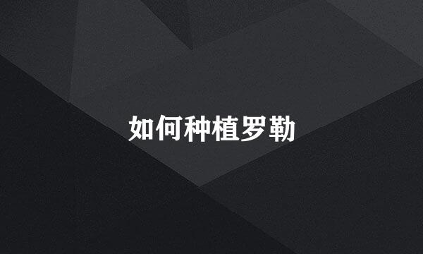 如何种植罗勒
