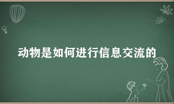 动物是如何进行信息交流的