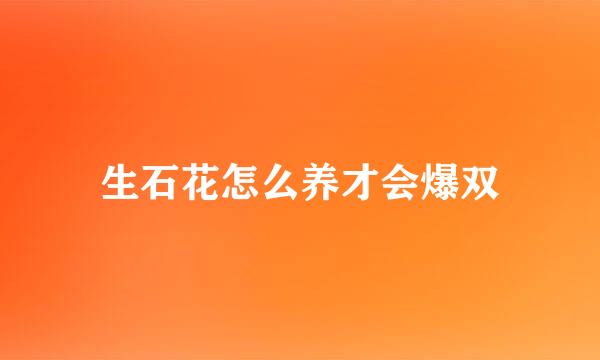 生石花怎么养才会爆双