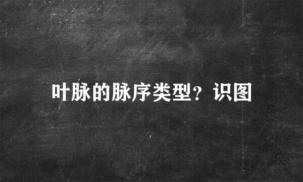叶脉的脉序类型？识图
