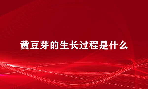 黄豆芽的生长过程是什么