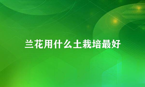 兰花用什么土栽培最好