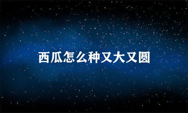 西瓜怎么种又大又圆