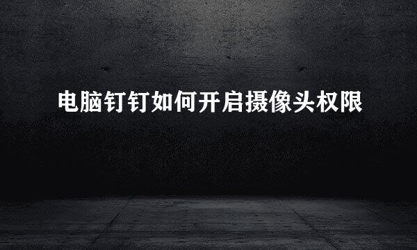 电脑钉钉如何开启摄像头权限