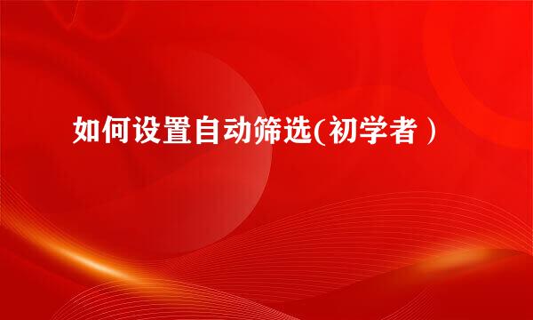 如何设置自动筛选(初学者）