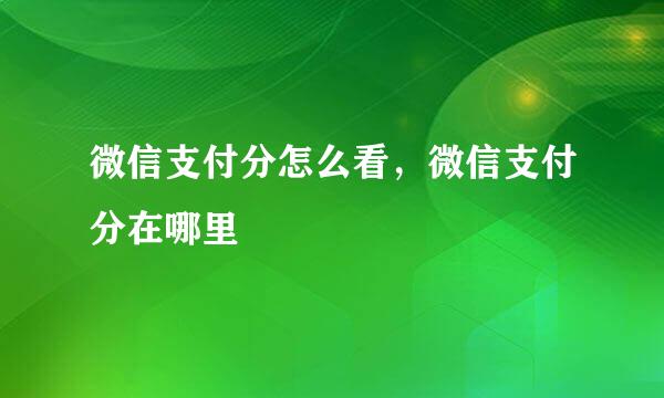 微信支付分怎么看，微信支付分在哪里