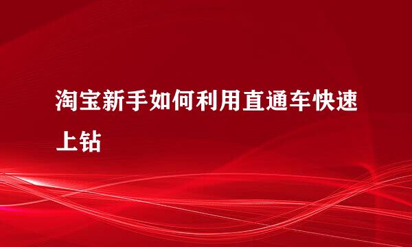 淘宝新手如何利用直通车快速上钻